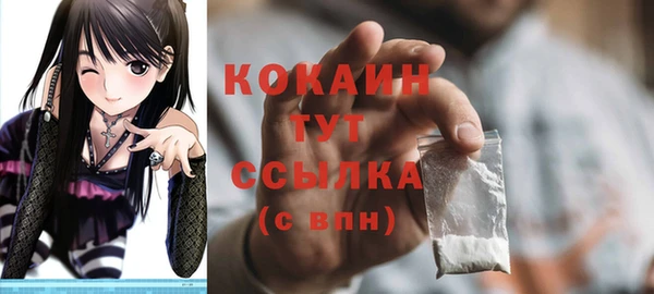 хмурый Лагань