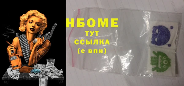 гашик Лабытнанги