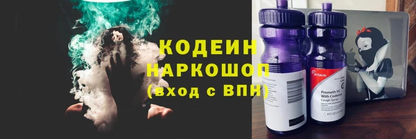 гашик Лабытнанги